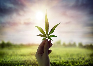 Финтех-компания Marijuana привлекает 125 миллионов долларов для финансирования роста