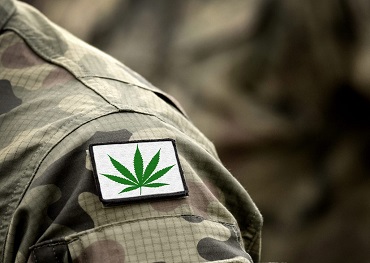 Комитет палаты представителей рассмотрит законопроект об исследованиях пособий для ветеранов медицинской марихуаны