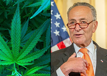 Федеральная легализация каннабиса приближается! u.с.сенатские демократы выдвинули законопроект о легализации марихуаны