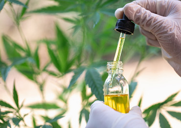 грузия принимает заявки на производство «с низким содержанием ТГК» масло марихуаны