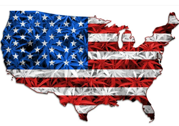 Как перенос марихуаны Байденом может повлиять на промышленность США
