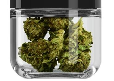 Еще один штат США легализовал марихуану, что сделало Миннесоту 23-м штатом, легализовавшим употребление марихуаны взрослыми.
    