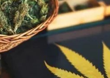 Продаем новый напиток на сумму $310000 в неделю! Этот бренд покорил рынок США через TikTok, используя ингредиенты марихуаны